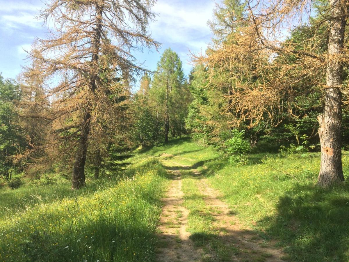La Buneta Macra Buitenkant foto
