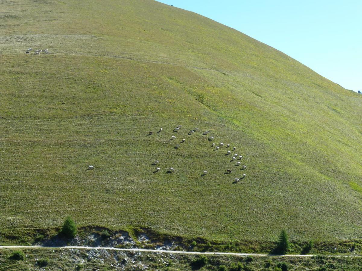 La Buneta Macra Buitenkant foto