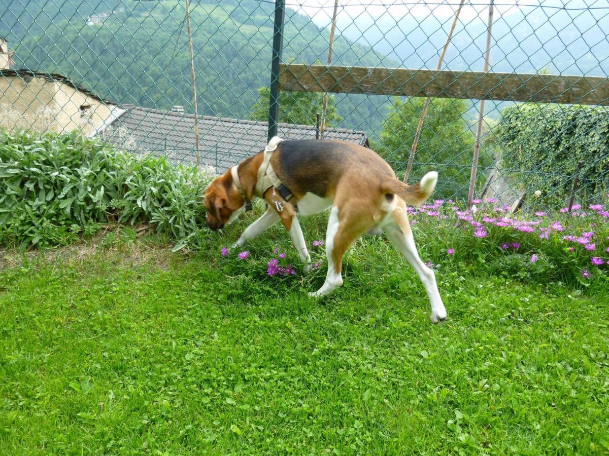 La Buneta Macra Buitenkant foto