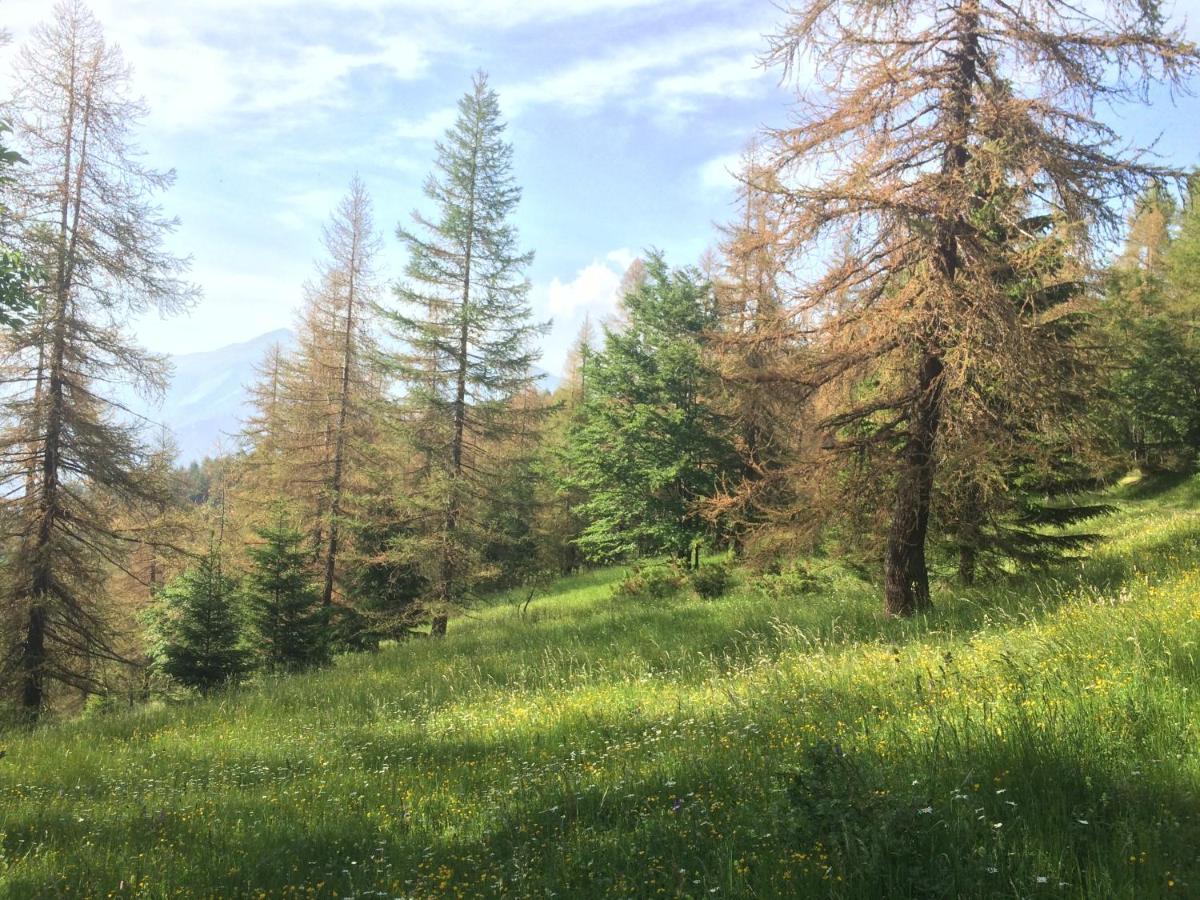 La Buneta Macra Buitenkant foto