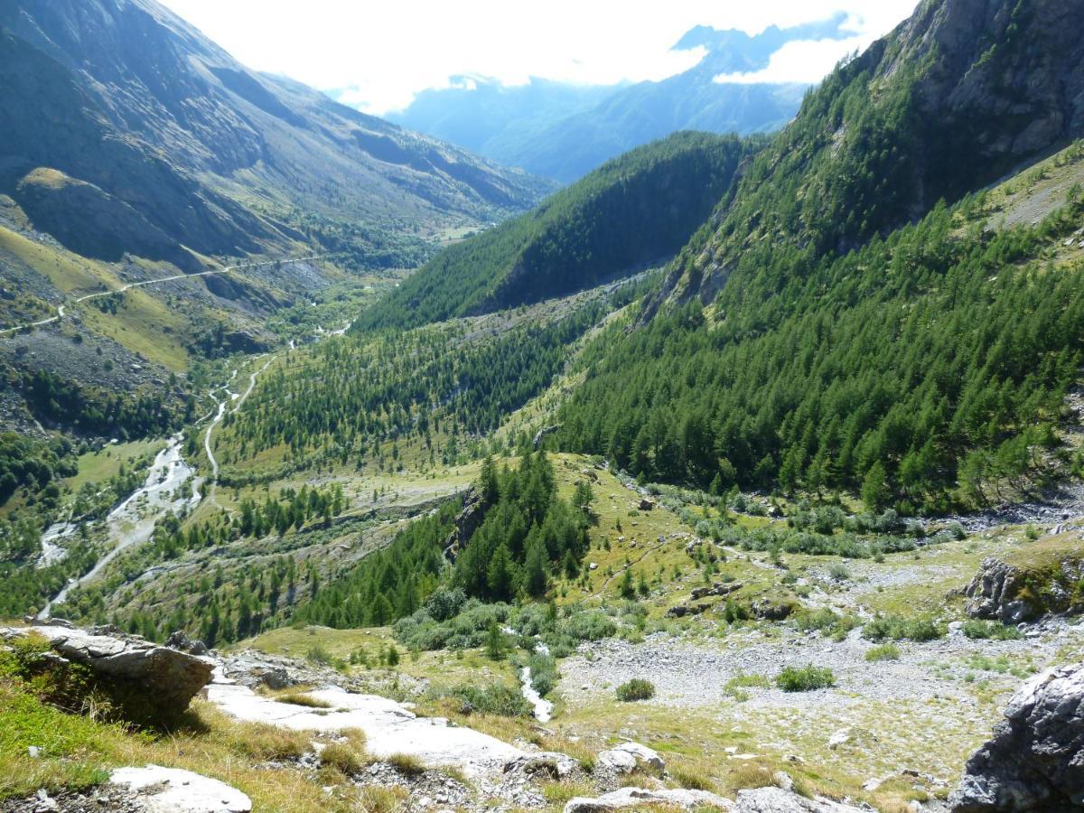 La Buneta Macra Buitenkant foto